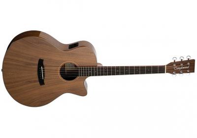 GUITARRA AC�STICA TANGLEWOOD SERIE WINTERLEAF EXOTIC BLACK WALNUT TW4VCBW