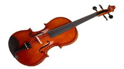 VIOLA H�FNER 15