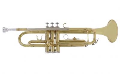 TROMPETA AMADEUS EN SIB TR600