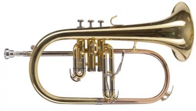 FLISCORNO AMADEUS PISTONES MONEL FLH450