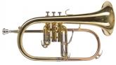 FLISCORNO AMADEUS PISTONES MONEL FLH450