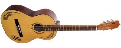 Guitarra Cl�sica Bamboo BG39-FE Feline