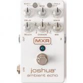 ECHO PEDAL