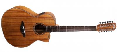 ACUSTICA 12 CUERDAS