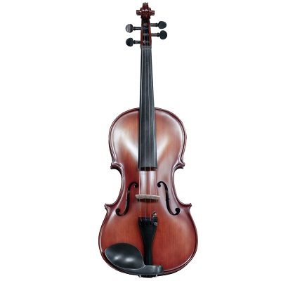 VIOLA